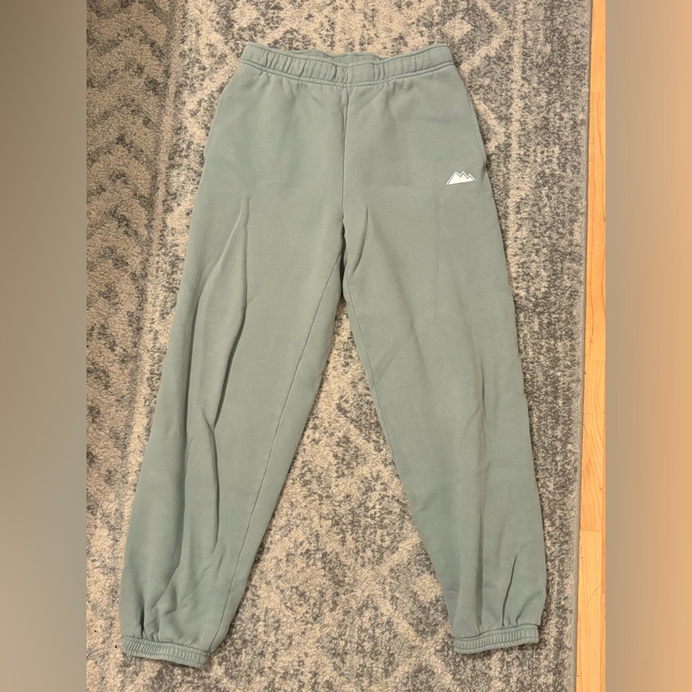Aritzia Cozy Mega Sweatpants - Glacial Green